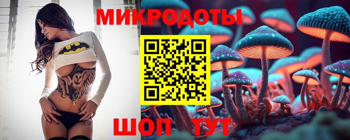 Галлюциногенные грибы Psilocybe  Вход с VPN  Прохладный 
